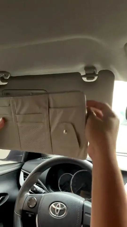 Neutral toned sun visor storage for documents